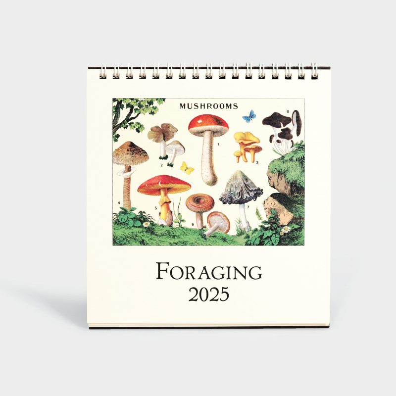 2025foragingdeskcalendar 1 final