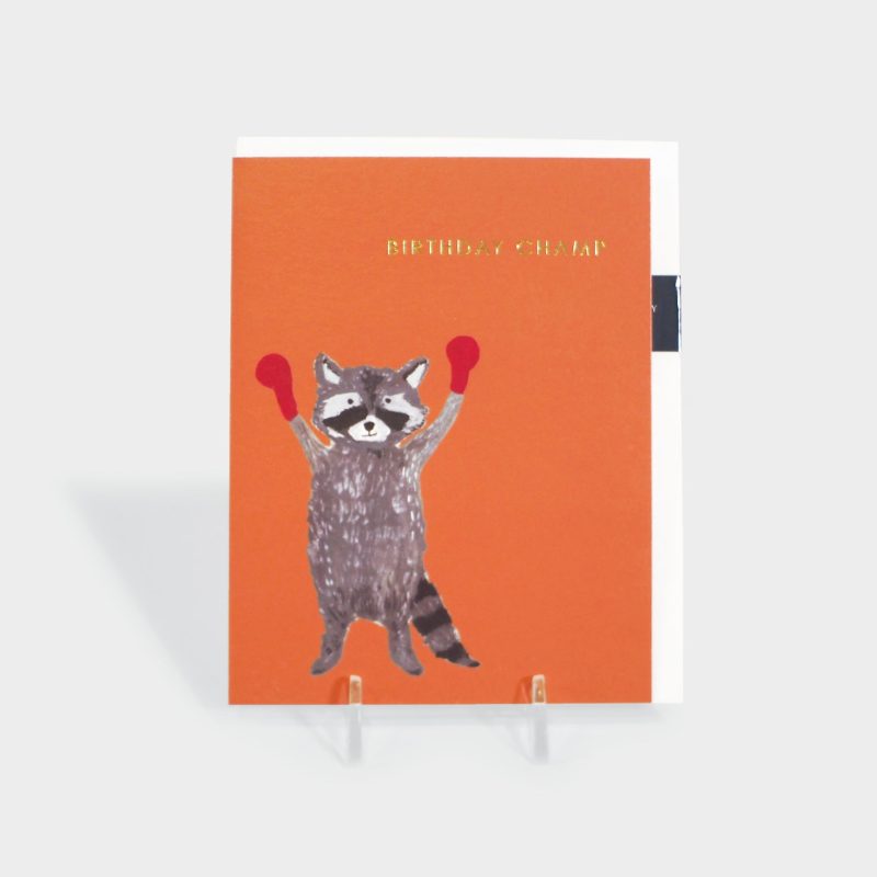 birthdayboxingraccoongreetingcard final