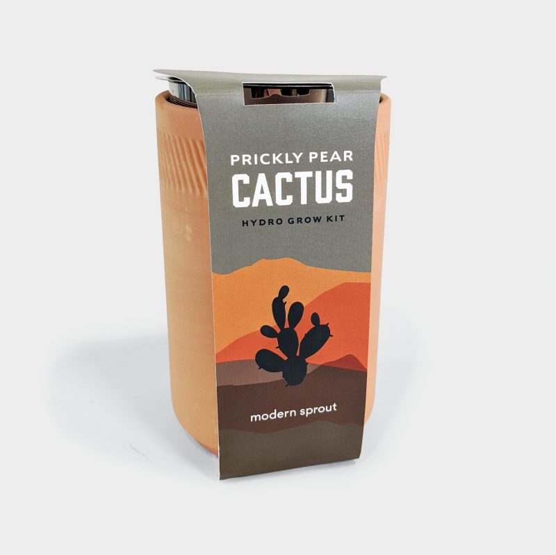 cactusterracottaplanterkit 1 final