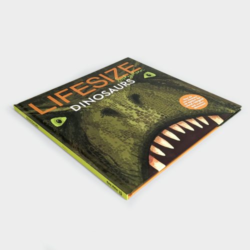 lifesizedinosaurs 2 final