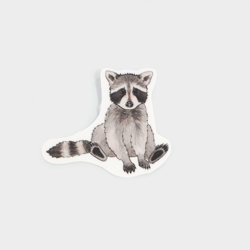 raccoonsticker final